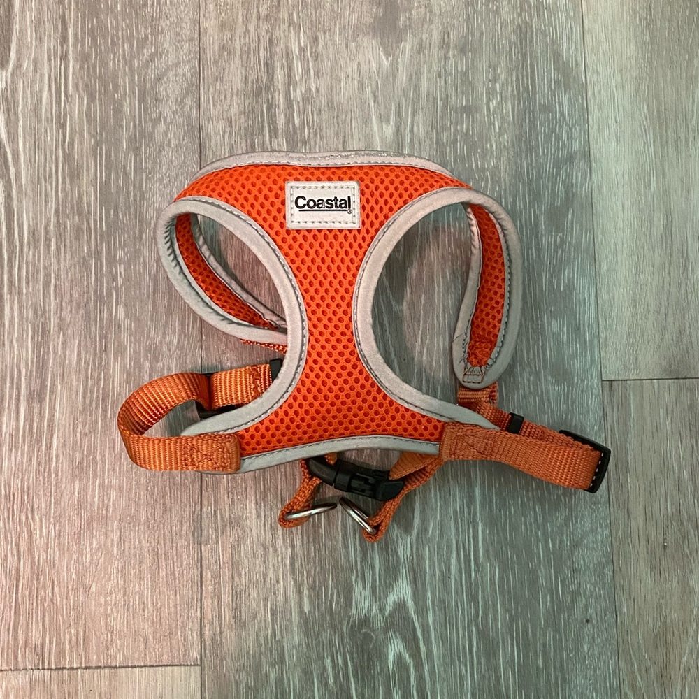 doggie harness